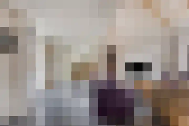 Springvloed 10 Zoutelande thumbnail 12