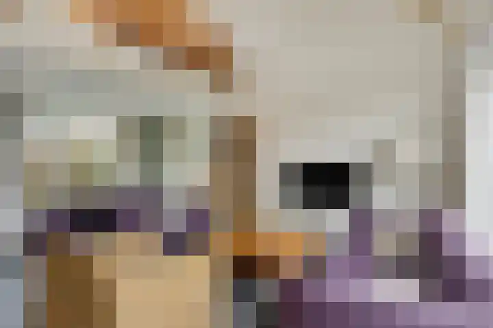 Springvloed 10 Zoutelande thumbnail 15