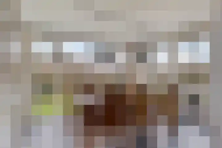 Springvloed 10 Zoutelande thumbnail 16
