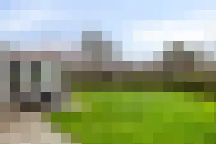 Springvloed 10 Zoutelande thumbnail 20