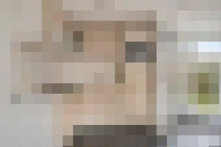 Springvloed 10 Zoutelande thumbnail 21