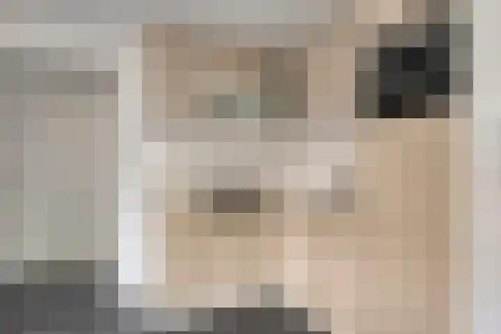 Springvloed 10 Zoutelande thumbnail 22