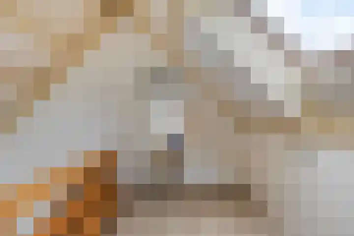 Springvloed 10 Zoutelande thumbnail 33