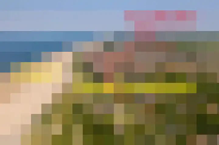 Springvloed 10 Zoutelande thumbnail 40