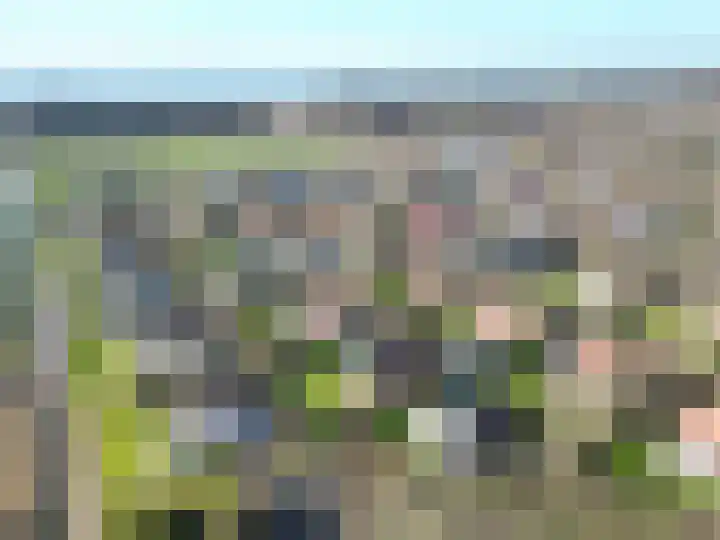 Springvloed 10 Zoutelande thumbnail 5