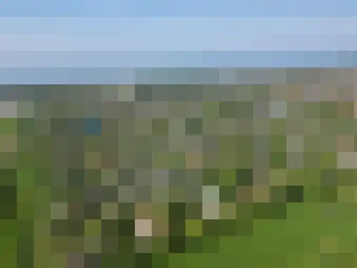 Springvloed 10 Zoutelande thumbnail 6