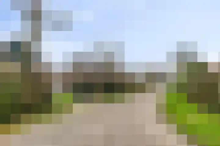Springvloed 10 Zoutelande thumbnail 7