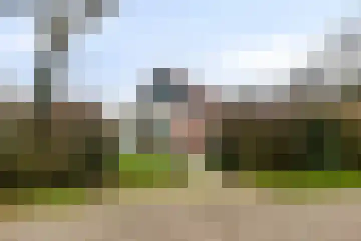 Springvloed 10 Zoutelande thumbnail 9