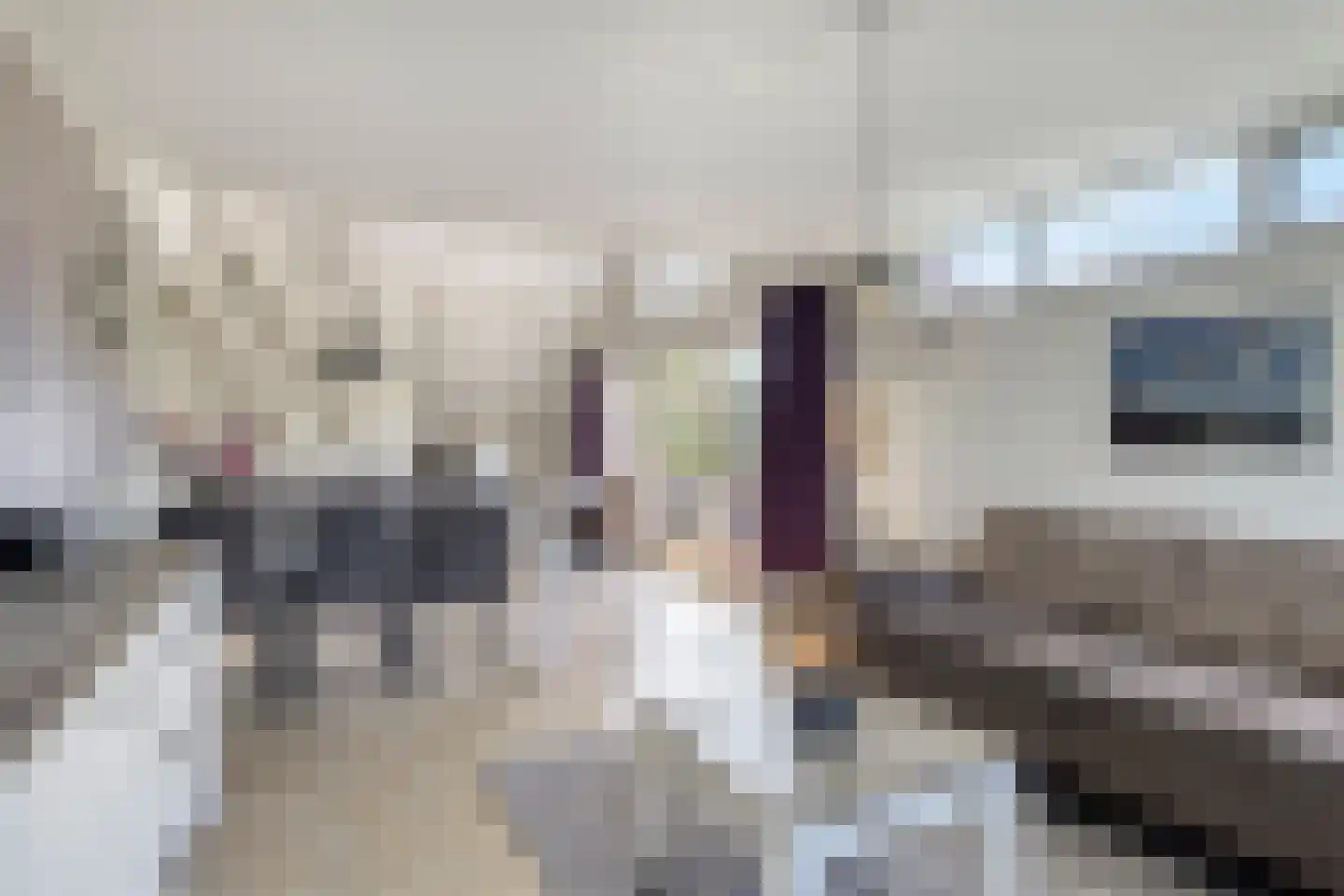 Springvloed 13 Zoutelande thumbnail 12