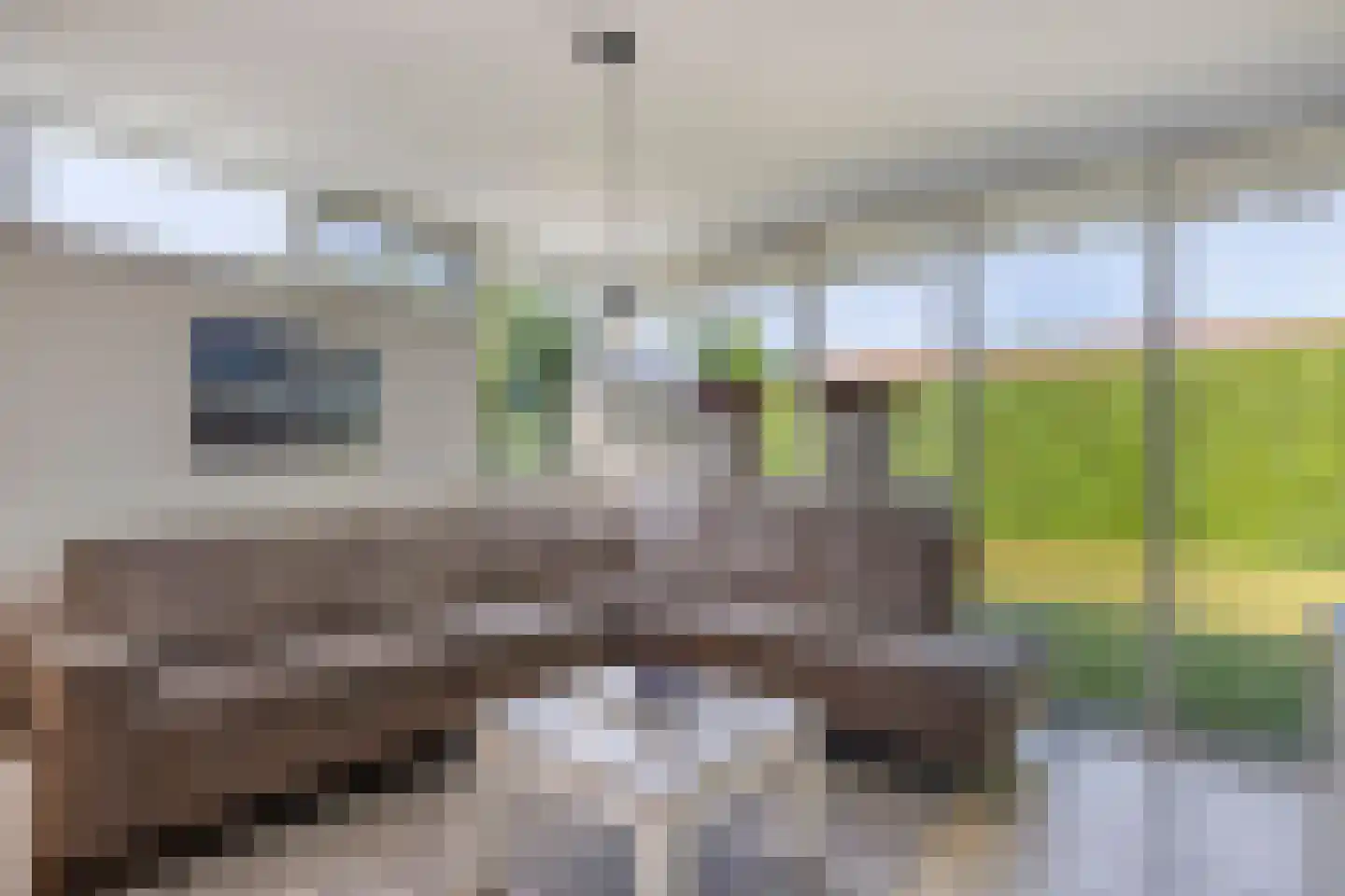 Springvloed 13 Zoutelande thumbnail 14