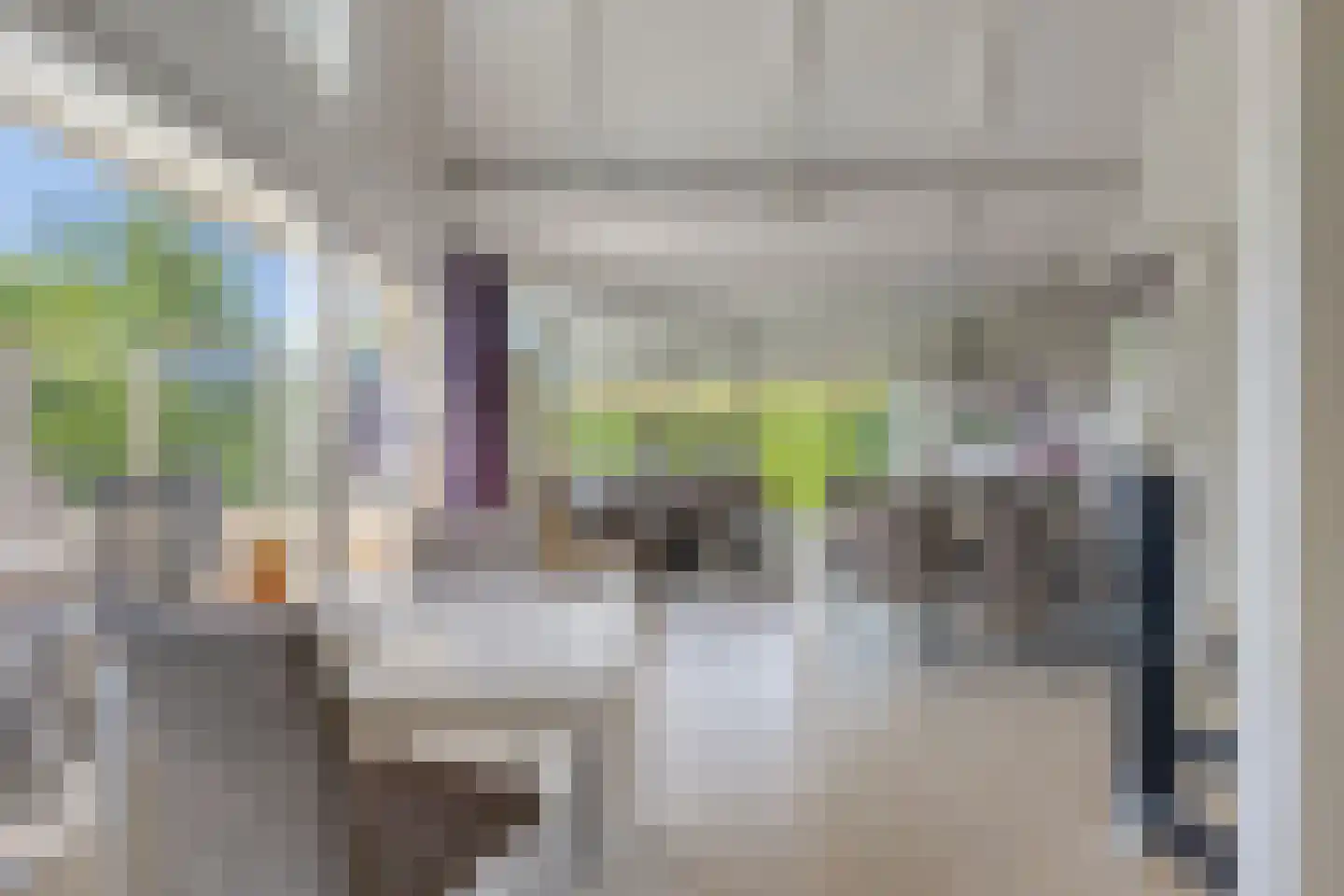 Springvloed 13 Zoutelande thumbnail 18