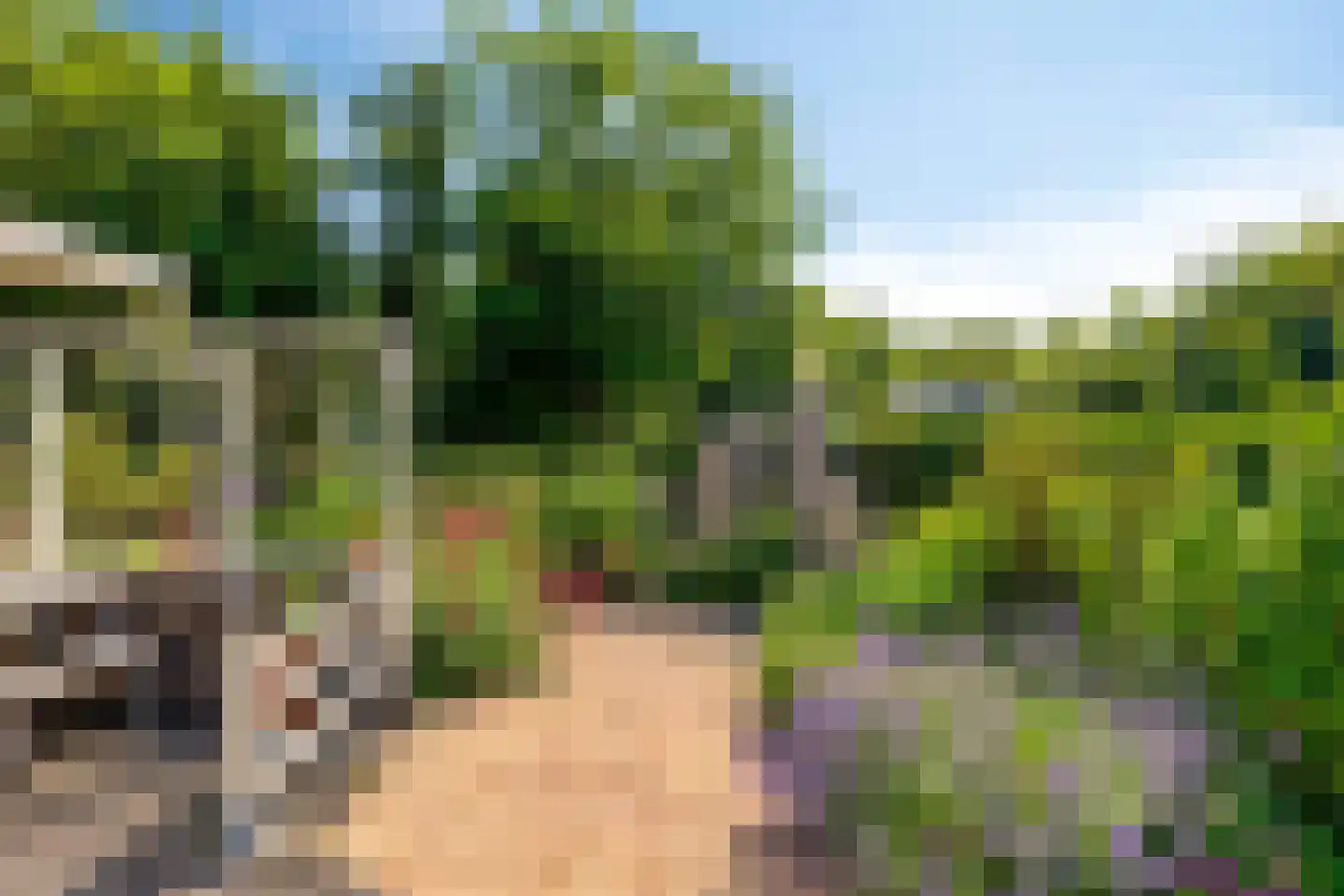 Springvloed 13 Zoutelande thumbnail 23