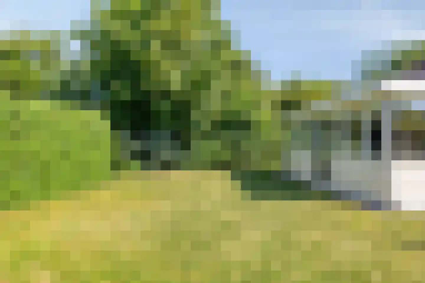 Springvloed 13 Zoutelande thumbnail 26
