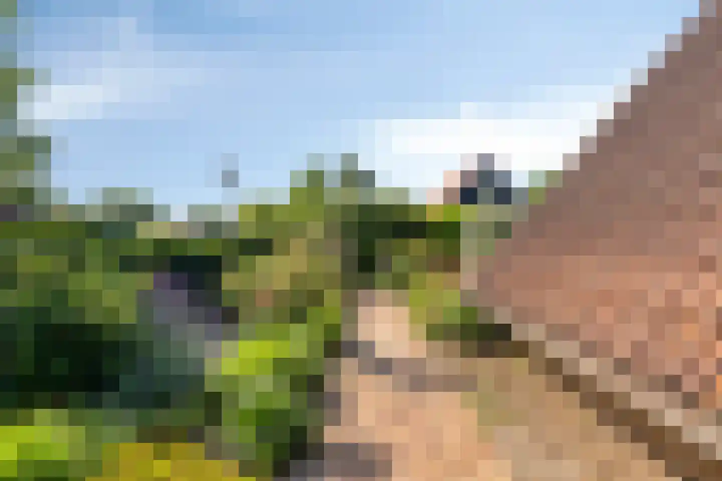 Springvloed 13 Zoutelande thumbnail 29