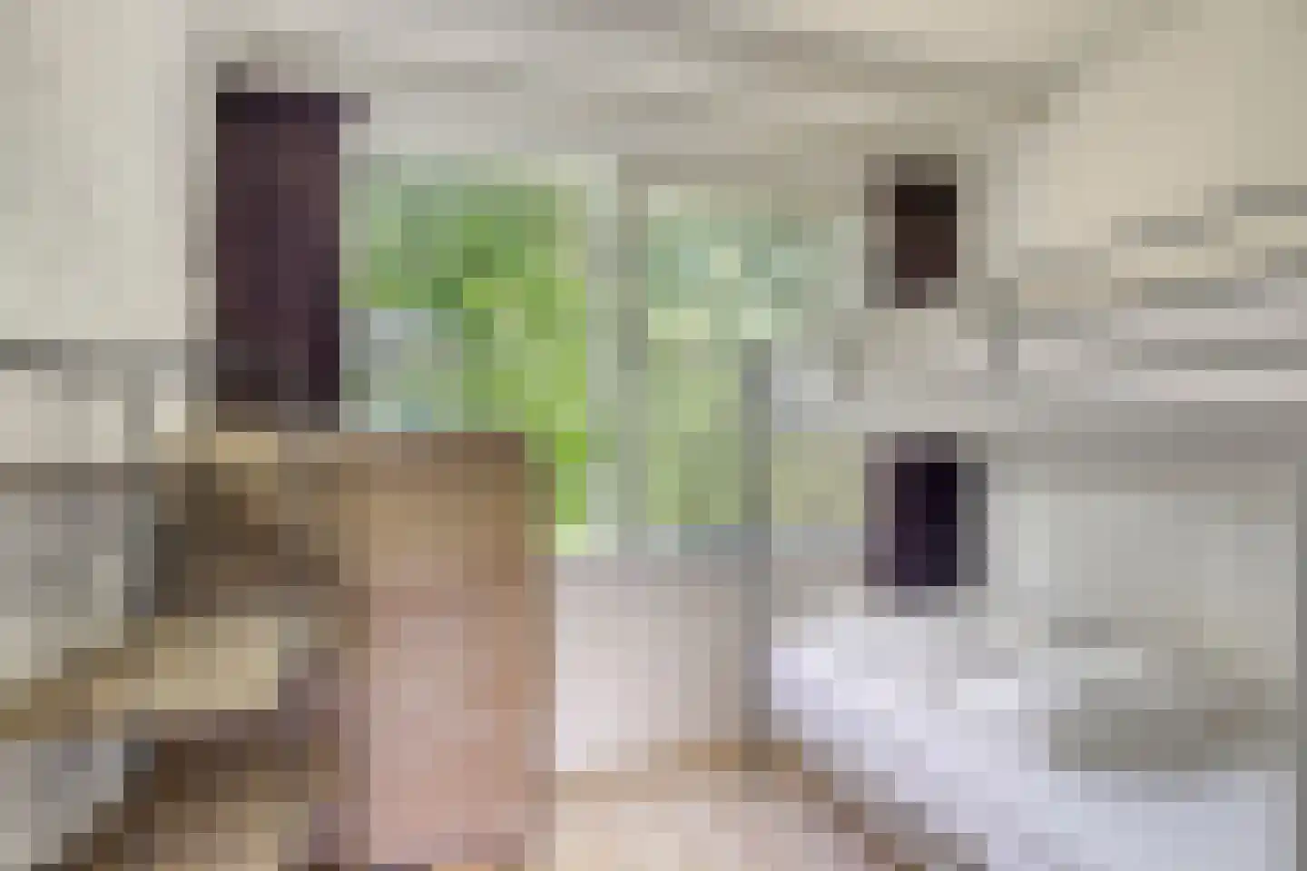 Springvloed 13 Zoutelande thumbnail 34