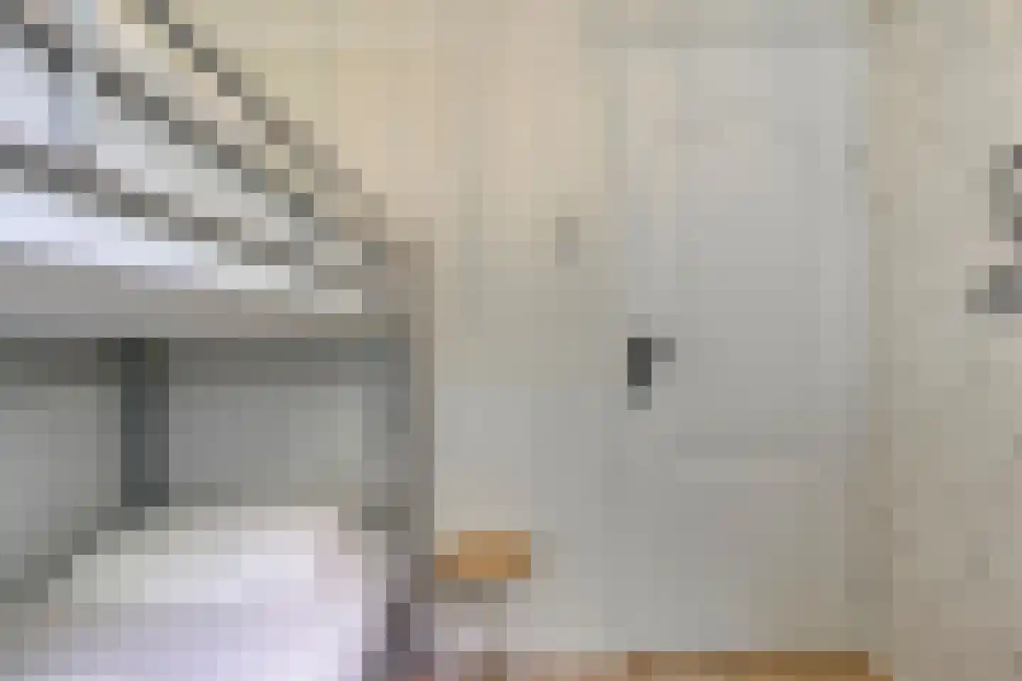 Springvloed 13 Zoutelande thumbnail 35