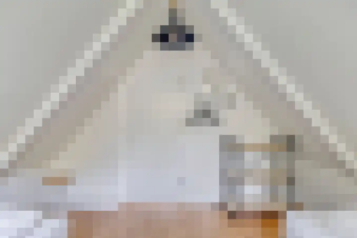 Springvloed 13 Zoutelande thumbnail 37