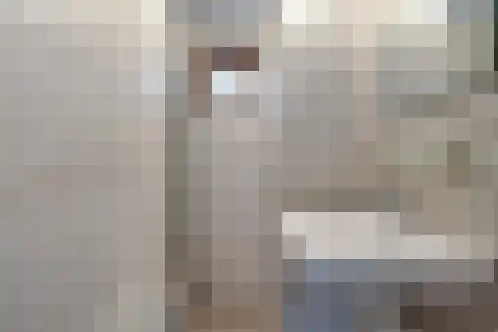 Springvloed 16 Zoutelande thumbnail 10