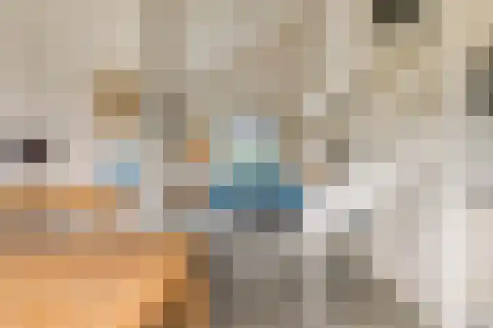 Springvloed 16 Zoutelande thumbnail 18