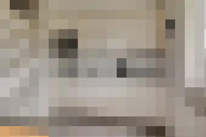 Springvloed 16 Zoutelande thumbnail 20