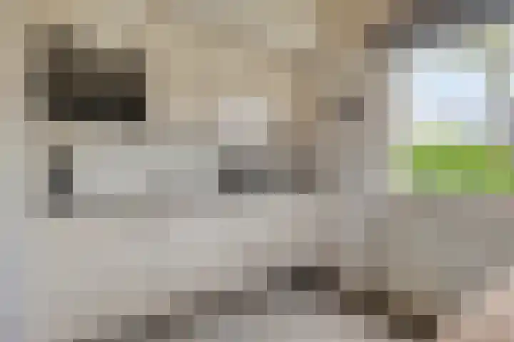 Springvloed 16 Zoutelande thumbnail 21
