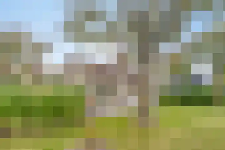 Springvloed 16 Zoutelande thumbnail 24