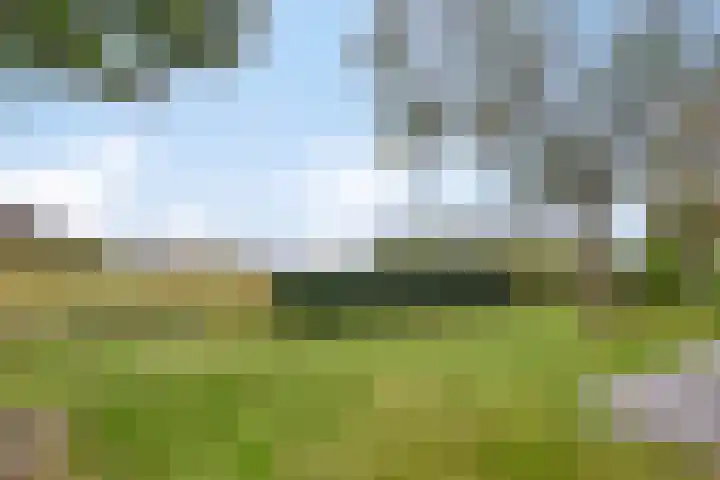 Springvloed 16 Zoutelande thumbnail 27