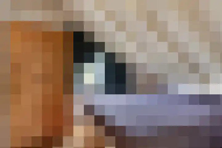 Springvloed 16 Zoutelande thumbnail 30