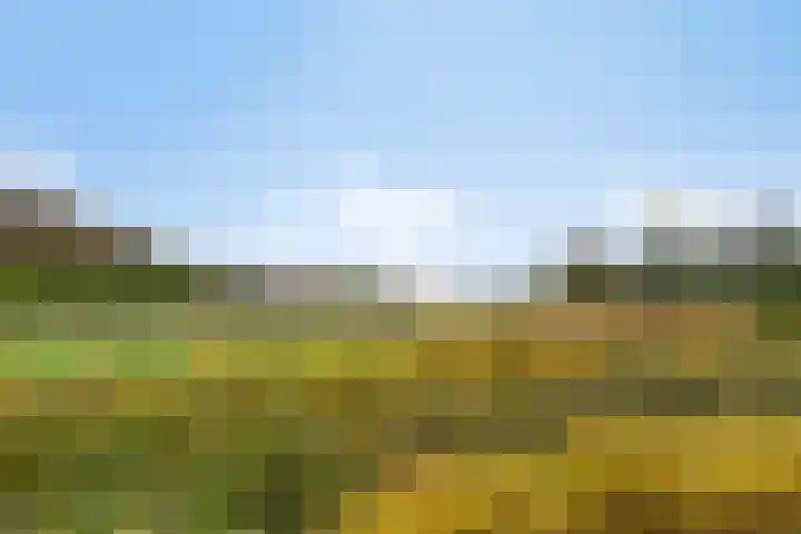 Springvloed 16 Zoutelande thumbnail 33