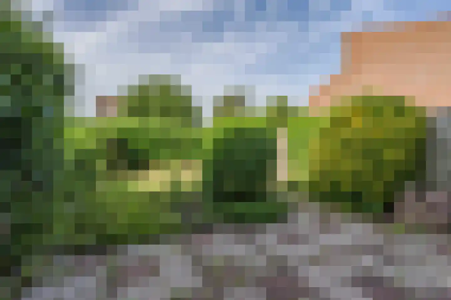 Springvloed 21 Katwijk thumbnail 19