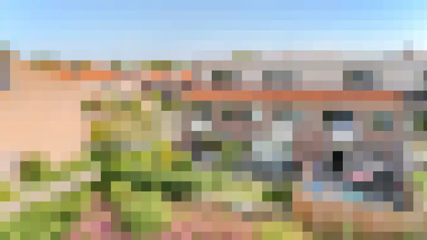 Springvloed 21 Katwijk thumbnail 26