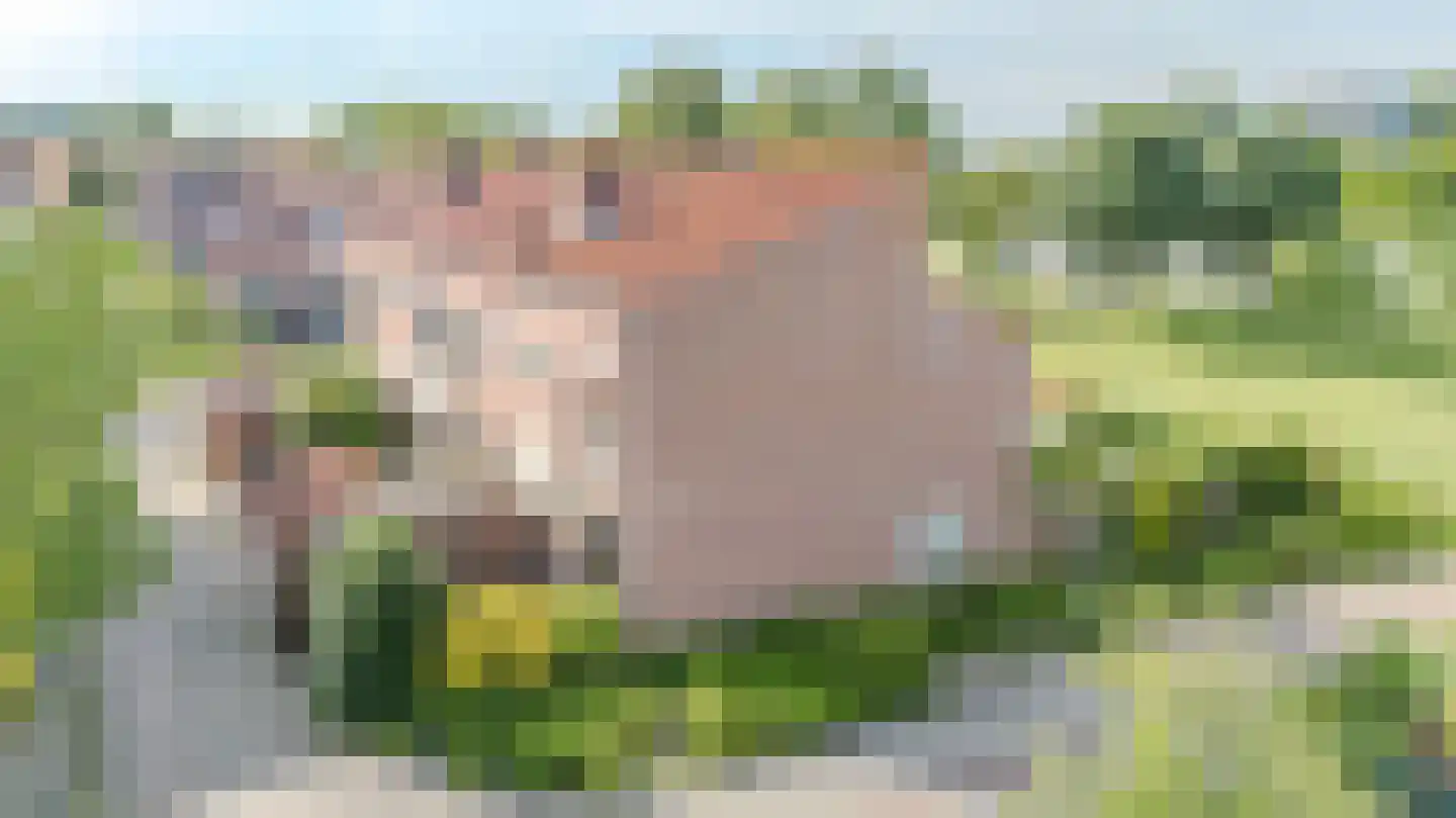 Springvloed 21 Katwijk thumbnail 7