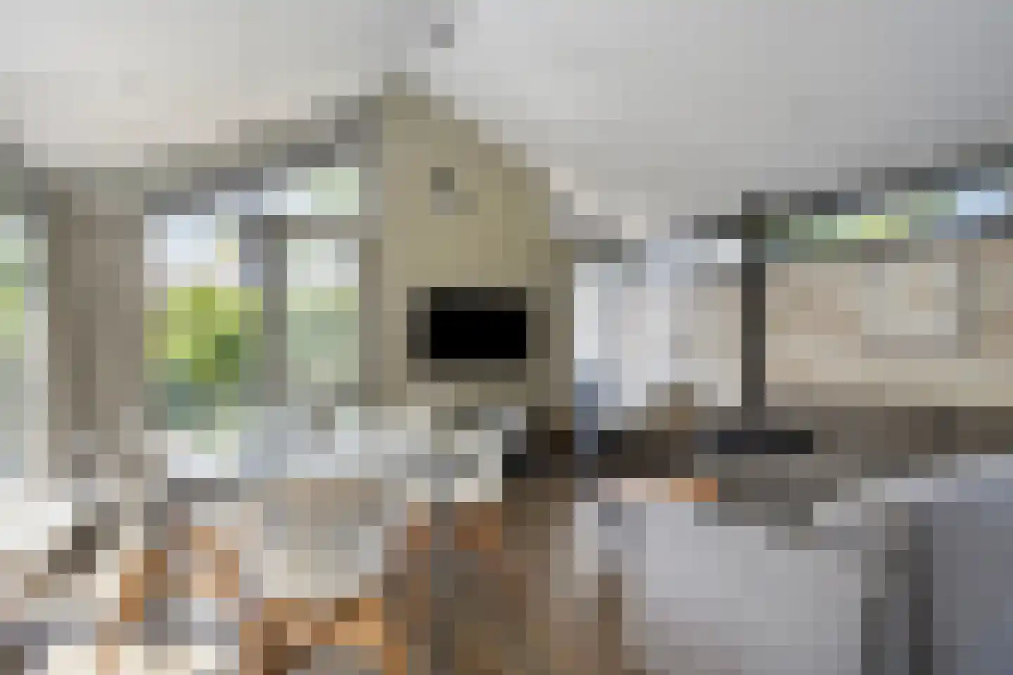 Springvloed 25 Zoutelande thumbnail 10
