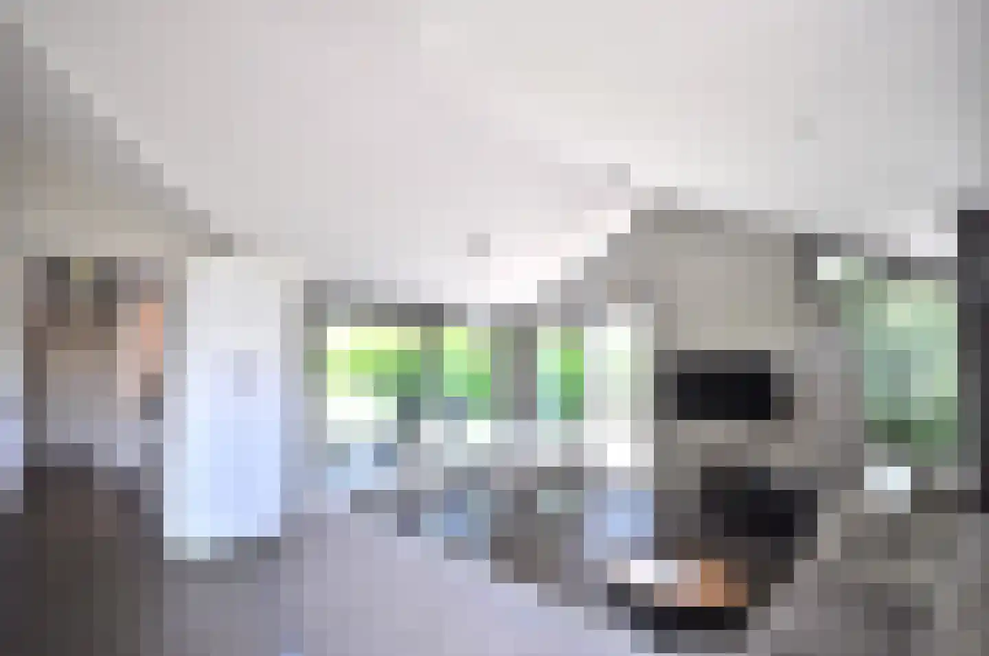 Springvloed 25 Zoutelande thumbnail 11