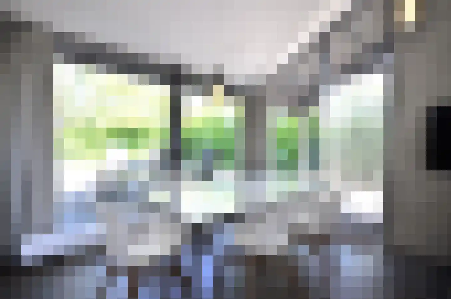 Springvloed 25 Zoutelande thumbnail 12