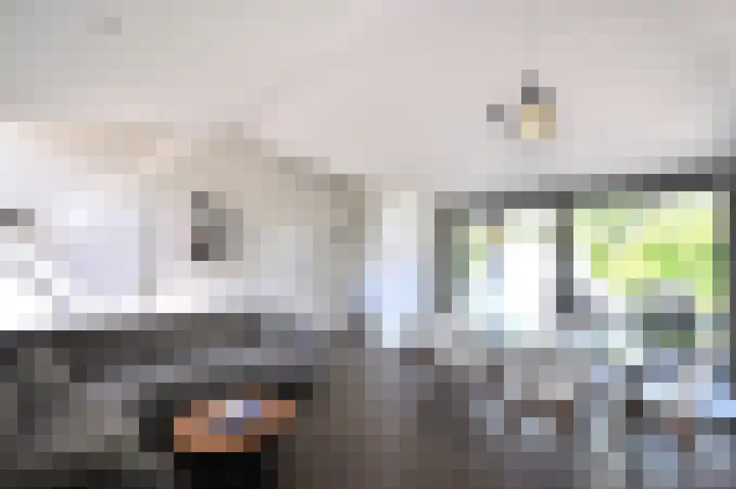 Springvloed 25 Zoutelande thumbnail 14