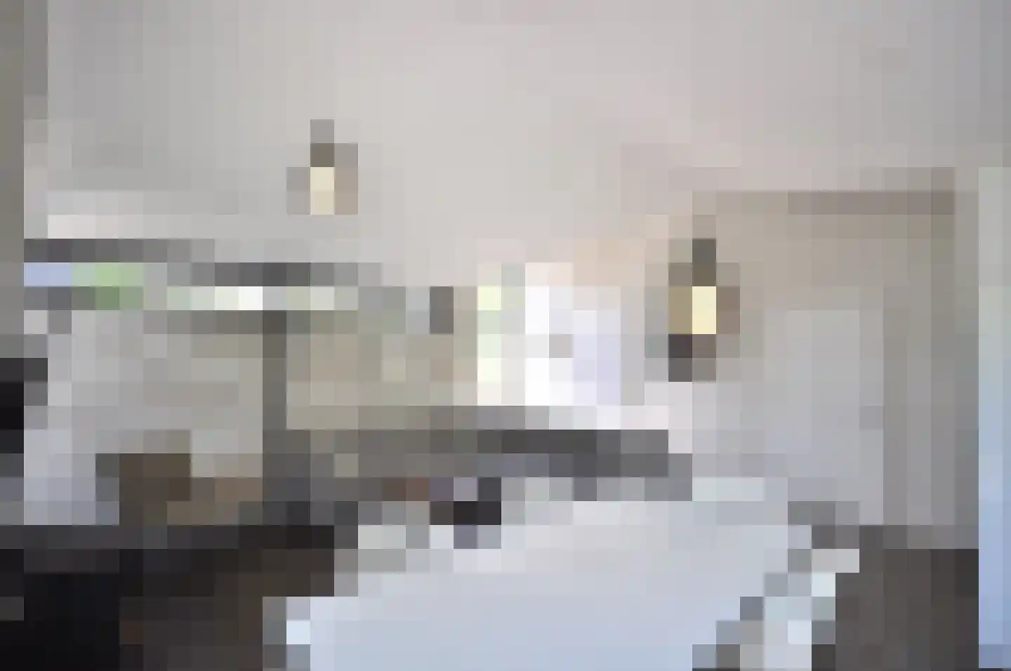 Springvloed 25 Zoutelande thumbnail 15