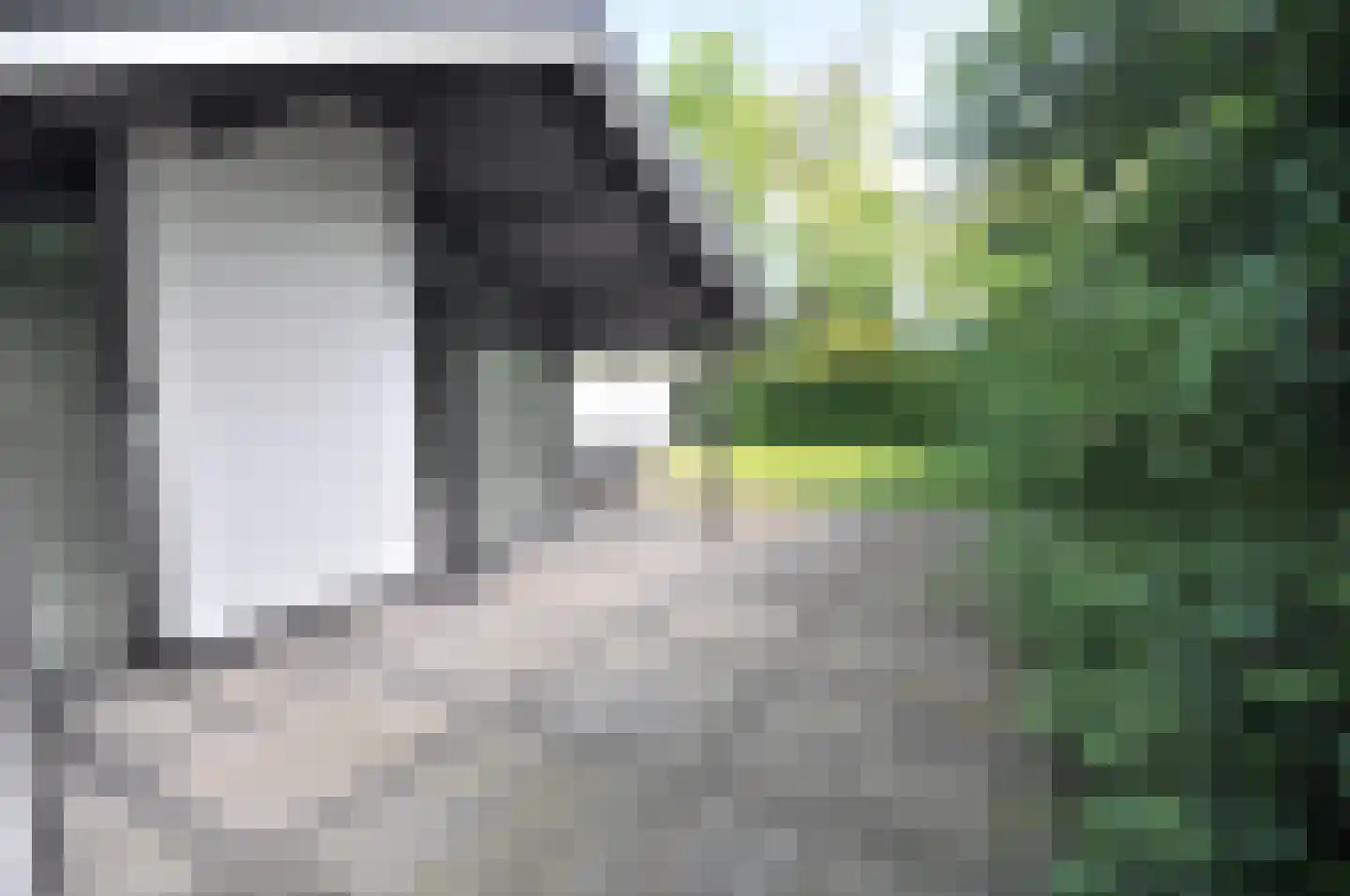Springvloed 25 Zoutelande thumbnail 16
