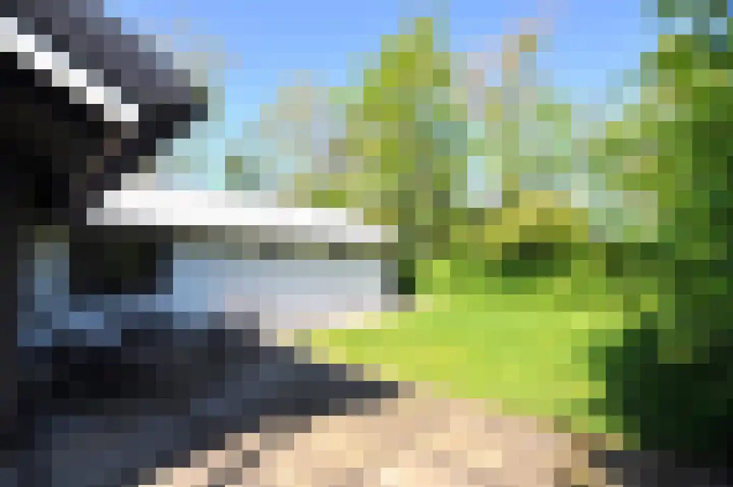 Springvloed 25 Zoutelande thumbnail 17