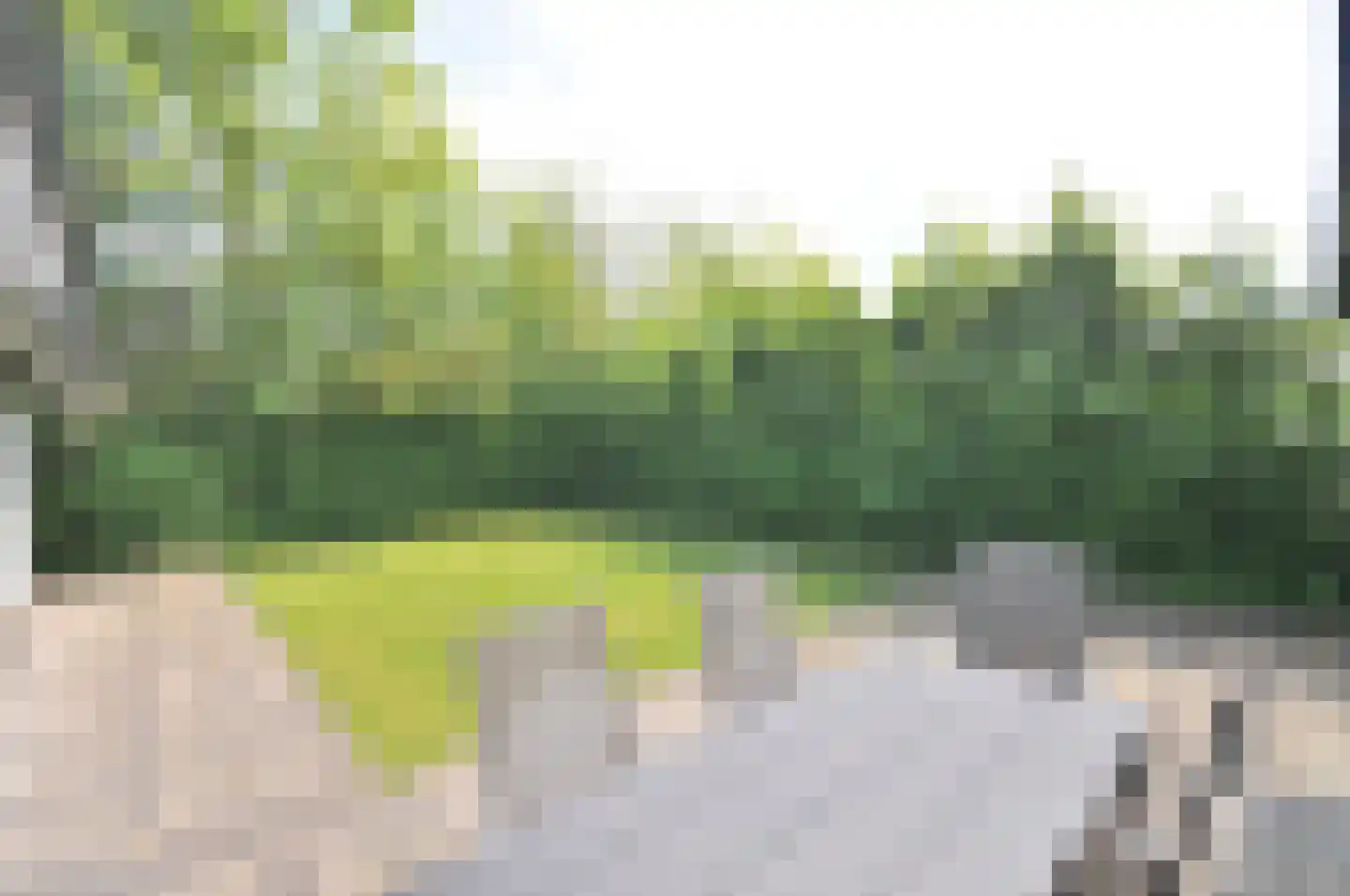Springvloed 25 Zoutelande thumbnail 18