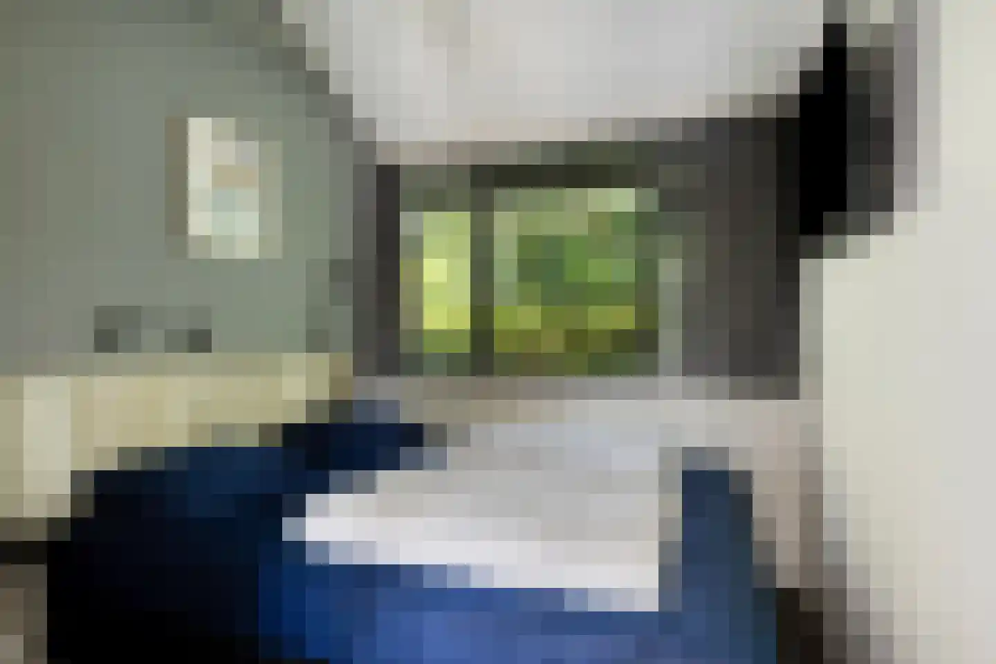 Springvloed 25 Zoutelande thumbnail 21