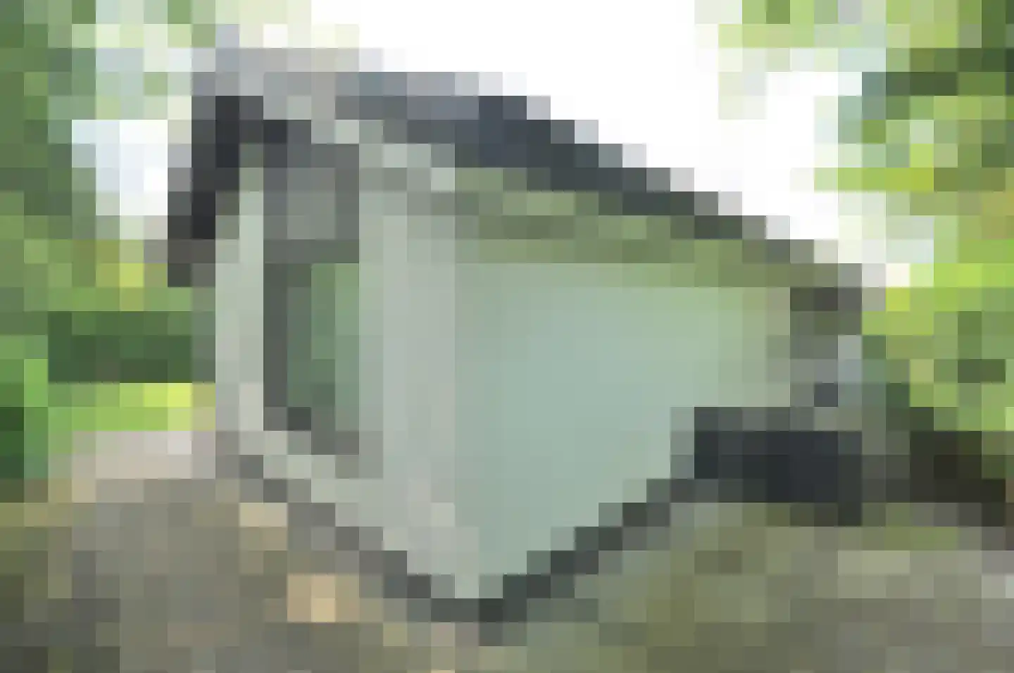 Springvloed 25 Zoutelande thumbnail 22