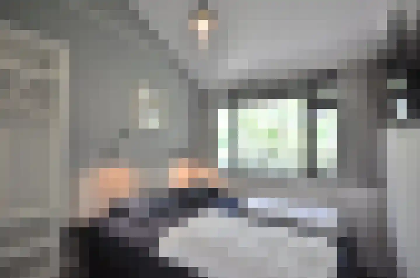 Springvloed 25 Zoutelande thumbnail 24