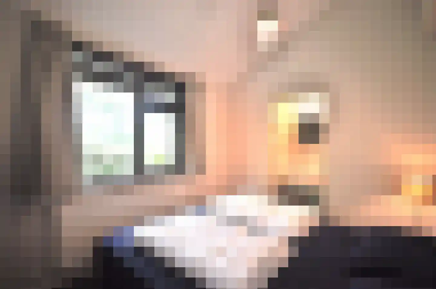 Springvloed 25 Zoutelande thumbnail 25