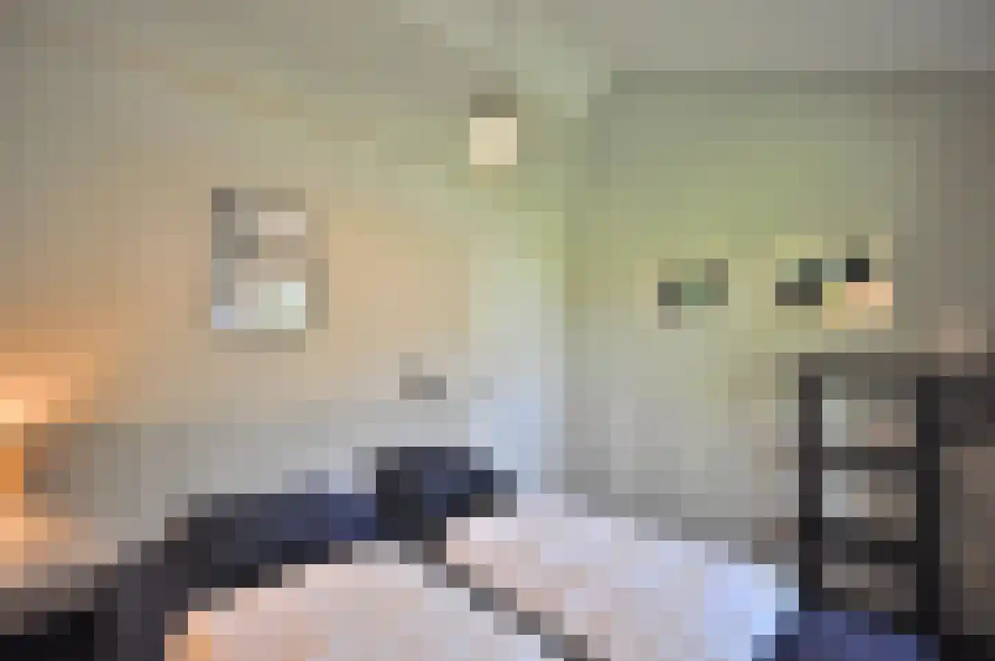 Springvloed 25 Zoutelande thumbnail 26