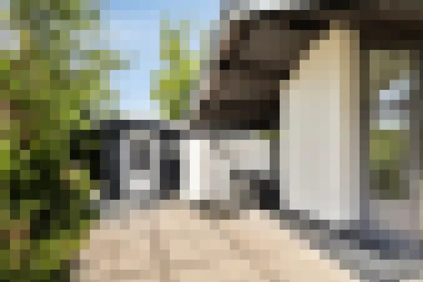 Springvloed 25 Zoutelande thumbnail 28