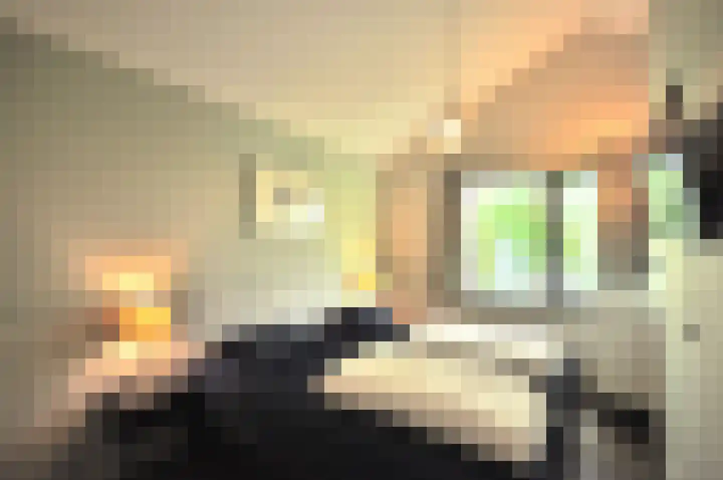 Springvloed 25 Zoutelande thumbnail 28