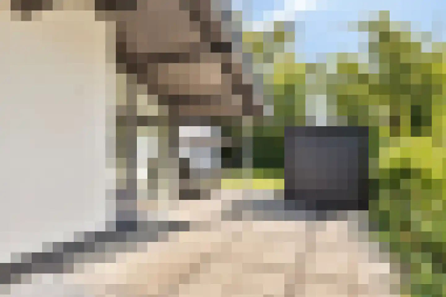 Springvloed 25 Zoutelande thumbnail 29