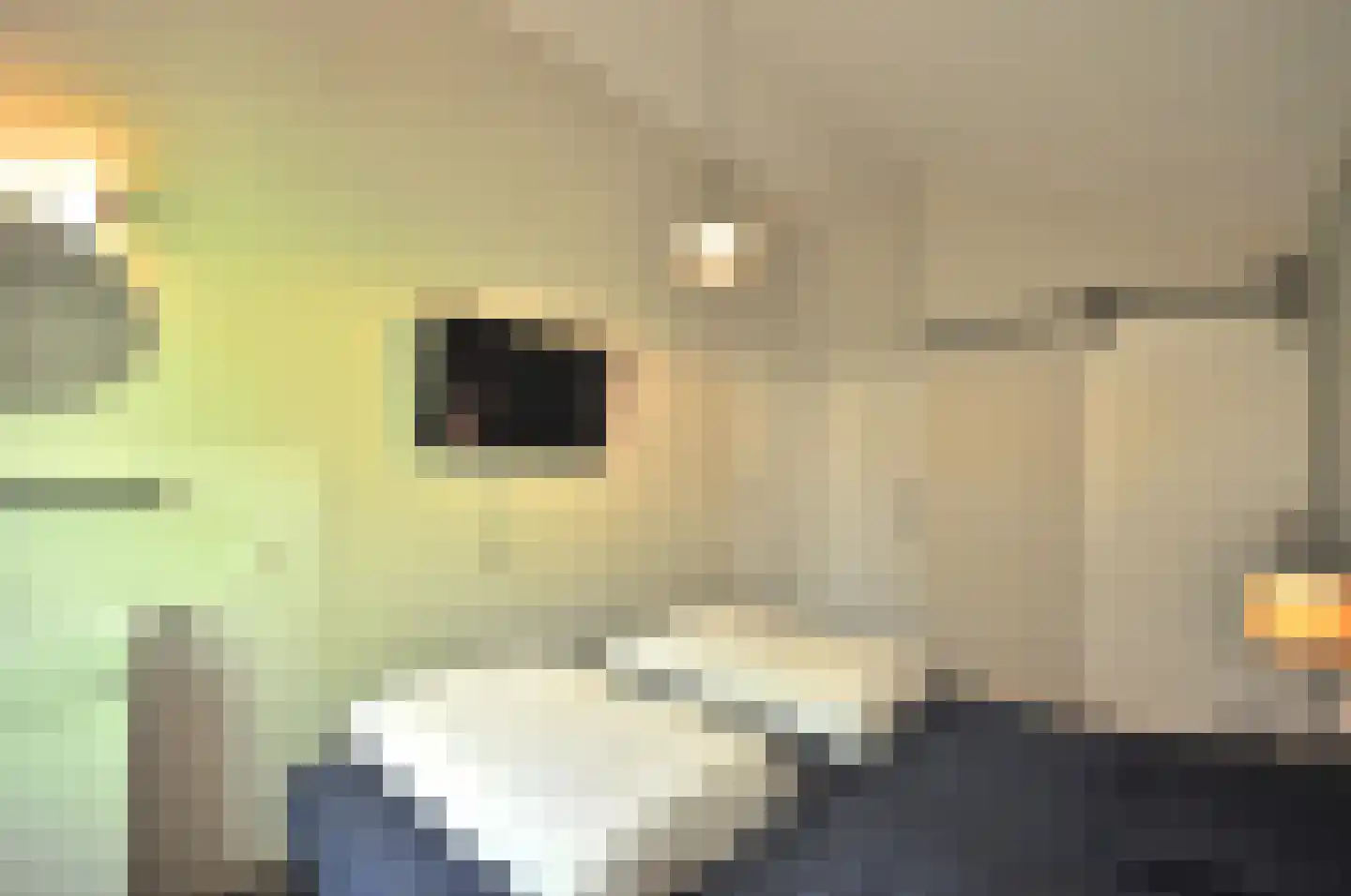 Springvloed 25 Zoutelande thumbnail 29