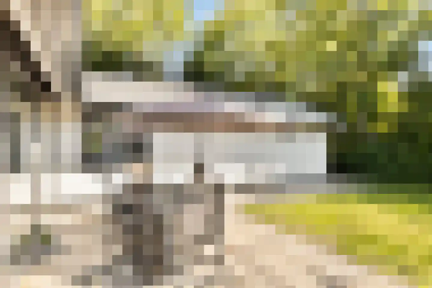 Springvloed 25 Zoutelande thumbnail 30
